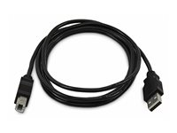 StarTech.com - USB-kabel - TAA-kompatibel - USB (han) til USB Type B (han) - USB 2.0 - 1.8 m SKUSBAB06-TAA