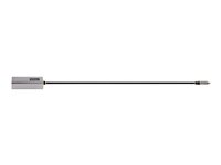 StarTech.com USB-C to Ethernet Adapter, 10/100/1000 Mbps, Gigabit Network Adapter w/ ASIX AX88179A Chip, 1ft/30cm Cable, USB Type C to RJ45 Ethernet Dongle, USB C to LAN Adapter, Windows/macOS/Linux/ChromeOS (US1GC30B2) - Netværksadapter - USB-C - Gigabit Ethernet x 1 - grå US1GC30B2