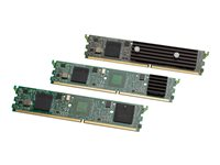 Cisco 128-Channel High-Density Packet Voice and Video Digital Signal Processor Module - DSP-talemodul - DIMM 240-pin - for Cisco 2901, 2911, 2921, 2951, 3925, 3925E, 3945, 3945E PVDM3-128=