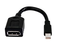 HP - DisplayPort adapter - Mini DisplayPort (han) til DisplayPort (hun) - for Elite 800 G9; Workstation Z2 G8, Z2 G9, Z4 G5, Z6 G5; ZBook Fury 15 G8, 16 G9, 17 G8 2MY05AA