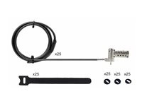 StarTech.com 25-Pack Laptop Lock, Compatible w/Noble Wedge/Nano/K-Slot - Sikkerhedskabelslås - sølv, sort - 2 m - TAA-kompatibel (pakke med 25) UNIVCS25-LAPTOP-LOCK