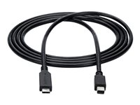 StarTech.com 6ft / 2m USB-C to Mini DisplayPort Cable - 4K 60Hz - Black - USB 3.1 Type C to mDP Adapter (CDP2MDPMM6B) - Adapterkabel - 24 pin USB-C (han) til Mini DisplayPort (han) - USB 3.1 / Thunderbolt 3 / DisplayPort 1.2 - 1.8 m - 4K60 Hz (3840 x 2160) support - sort CDP2MDPMM6B