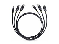 StarTech.com 6ft (1.8m) Dual-DisplayPort and USB 5Gbps KVM Cable - Kabel til tastatur / video / mus (KVM) - DisplayPort, USB Type A (han) til DisplayPort, USB Type B (han) - 1.83 m - 4K60 Hz support, HDR10 support - sort DDU1226-KVM-CABLE