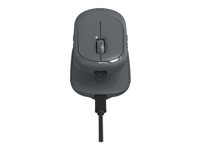 ZAGG Pro - Mus - trådløs - Bluetooth - space grey 109910230