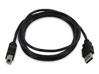 StarTech.com - USB-kabel - TAA-kompatibel - USB (han) til USB Type B (han) - USB 2.0 - 3 m SKUSBAB10-TAA