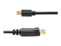 StarTech.com 10ft Mini DisplayPort to DisplayPort Cable - M/M - mDP to DP 1.2 Adapter Cable - Thunderbolt to DP w/ HBR2 Support (MDP2DPMM10) - DisplayPort kabel - Mini DisplayPort (han) til DisplayPort (han) - 3 m - for P/N: CDP2MDPEC, CDP2MDPFC, CDPVDHDMDP2G, CDPVDHDMDPRG, CDPVDHDMDPSG, CDPVDHMDPDP MDP2DPMM10