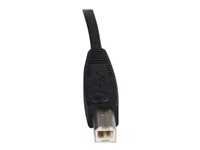 StarTech.com 2-in-1 USB KVM Cable - Keyboard / video / mouse / USB cable - HD-15 (VGA), USB Type B (M) to USB, HD-15 (VGA) - 6 ft - SVUSB2N1_6 - Tastatur / video / mus / USB kabel - HD-15 (VGA), USB Type B (han) til USB, HD-15 (VGA) - 1.8 m - for P/N: RKCOND17HD, SV231USBGB, SV231USBLC, SV431USB, SV431USBAE, SV431USBAEGB, SV431USBDDM SVUSB2N1_6