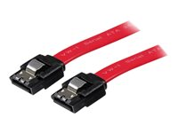 StarTech.com Latching SATA Cable - SATA-kabel - Serial ATA 150/300/600 - SATA (R) til SATA (R) - 15 cm - haspet - rød - for P/N: 10P6G-PCIE-SATA-CARD, 2P6G-PCIE-SATA-CARD, 4P6G-PCIE-SATA-CARD, 6P6G-PCIE-SATA-CARD LSATA6