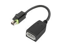 Lenovo - DisplayPort adapter - Mini DisplayPort (han) til DisplayPort (hun) - for ThinkCentre M75t Gen 2; ThinkStation P320; P330; P330 Gen 2; P348; P520; P620; P720; P920 4X90Q93975