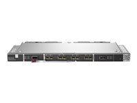 Brocade - Ekspansionsmodul - 32Gb Fibre Channel SFP+ x 28 - for Synergy 12000 Frame Q2E56A