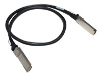 HPE Aruba - 100GBase-kabel til direkte påsætning - QSFP28 (han) til QSFP28 (han) - 1 m - for HPE Aruba 8325-32C, 8325-48Y8C; CX 8360-48XT4C v2 R9F77A