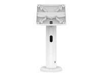 Compulocks VESA Tilting Kiosk Stand 8" with Cable Management - Stativ - for tablet - hvid - monteringsgrænseflade: 100 x 100 mm - skrivebord TCDP01W