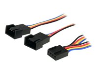 StarTech.com 12in 4 Pin Fan Power Splitter Cable - F/M - 1ft Fan Y Cable - 1ft 4-pin Fan Splitter Cable (FAN4SPLIT12) - Splitter til blæser - 4 pin PWM (hun) til 4 pin PWM (han) - 31 cm - for P/N: FAN1156PWM, FAN12025PWM, FAN8025PWM FAN4SPLIT12