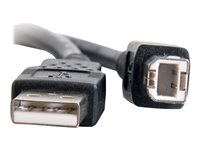 C2G 6.6ft USB A to USB B Cable - USB A to B Cable - USB 2.0 - Black - M/M - USB-kabel - USB (han) til USB Type B (han) - USB 2.0 - 2 m - sort 28102