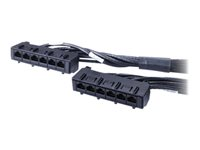 APC Data Distribution Cable - Netværkskabel - TAA-kompatibel - RJ-45 (hun) til RJ-45 (hun) - 7 m - UTP - CAT 6 - sort DDCC6-023