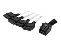 StarTech.com 1m Internal Mini SAS to SATA Cable - SFF-8643 to 4x SATA (SAS43SAT1M) - ATA/SAS-kabel - 4 x Mini SAS HD (SFF-8643) (P) til SATA (P) - 1 m - sort og sølv - for P/N: SFF86448PLT2 SAS43SAT1M