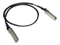 HPE - 100GBase-kabel til direkte påsætning - QSFP28 til QSFP28 - 50 cm - for P/N: Q9E63A R8M59A