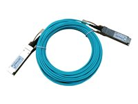 HPE X2A0 - 100GBase-AOC direkte påsætningskabel - QSFP28 til QSFP28 - 5 m. - fiberoptik - aktiv - for FlexFabric 5944 48XGT 6QS28 Switch JL796A