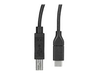 StarTech.com USB C to USB B Printer Cable - 1.6 ft / 0.5m - USB C Printer Cable - USB C to USB B Cable - USB Type C to Type B (USB2CB50CM) - USB-kabel - 24 pin USB-C (han) til USB Type B (han) - Thunderbolt 3 / USB 2.0 - 50 cm - sort USB2CB50CM