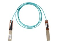 Cisco - 100GBase-kabel til direkte påsætning - QSFP til QSFP - 1 m - 1 m. - fiberoptik - aktiv - for P/N: C9500-32C-EDU, C9500-32QC-EDU, N9K-X9788TC-FX-RF, NCS-55A1-24H-B, NCS-55A1-36H-SE-S QSFP-100G-AOC1M=