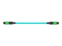 NVIDIA - 400GBase-kabel til direkte påsætning - MPO-12/APC multi-tilstand til MPO-12/APC multi-tilstand - 30 m. - fiberoptik - passivt 980-9I570-00N030