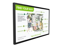 Philips 55BDL3751T - 55" Diagonal klasse (54.5" til at se) - Interactive 3000 Series LED-bagbelyst LCD paneldisplay - digital skiltning - med berøringsskærm (multi-berøring) - Android - 4K UHD (2160p) 3840 x 2160 - sort 55BDL3751T/00