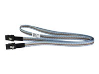 HPE Fanout Cable - SAS eksternt kabel - 4-Lane - 36 pin 4x Mini SAS HD (SFF-8644) (han) til 36 pin 4x Mini SAS HD (SFF-8644) (han) - 4 m - for StorageWorks MSL2024; StoreEver MSL3040, MSL6480 P35175-B21