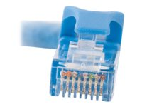 C2G Cat6 Booted Unshielded (UTP) Network Patch Cable - Patchkabel - RJ-45 (han) til RJ-45 (han) - 50 m - UTP - CAT 6 - formet, knastfri, strenget - blå 83396