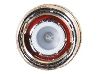 C2G - Videoadapter - RCA hun til BNC han - guld 80410