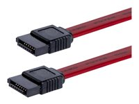StarTech.com 12in SATA Serial ATA Cable - SATA cable - Serial ATA 150/300 - SATA (F) to SATA (F) - 1 ft - red - SATA12 - SATA-kabel - Serial ATA 150/300 - SATA (hun) til SATA (hun) - 30.5 cm - rød - for P/N: 10P6G-PCIE-SATA-CARD, 2P6G-PCIE-SATA-CARD, 4P6G-PCIE-SATA-CARD, 6P6G-PCIE-SATA-CARD SATA12
