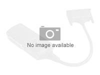 PNY - Display-adapter - enkeltlink - DisplayPort (han) til DVI-D (hun) QSP-DPDVISL