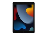 Apple 10.2-inch iPad Wi-Fi - 9. generation - tablet - 256 GB - 10.2" MK2N3KN/A